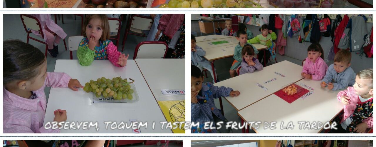 CEIP Assumpció: la Castanyada i Halloween a Infantil