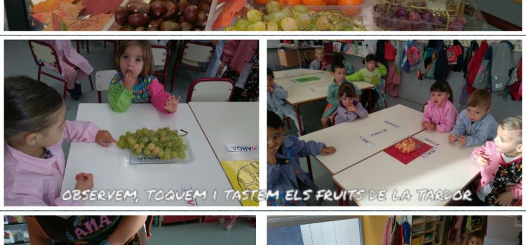 CEIP Assumpció: la Castanyada i Halloween a Infantil