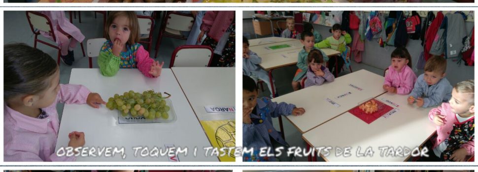 CEIP Assumpció: la Castanyada i Halloween a Infantil