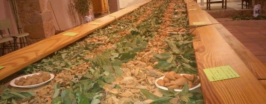 Albocàsser se llena con la Fira de l’Ametla