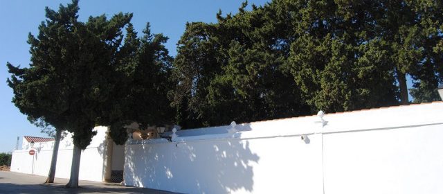 El cementiri d’Alcalà presenta una clara millora