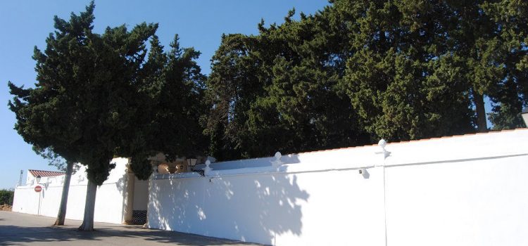 El cementiri d’Alcalà presenta una clara millora