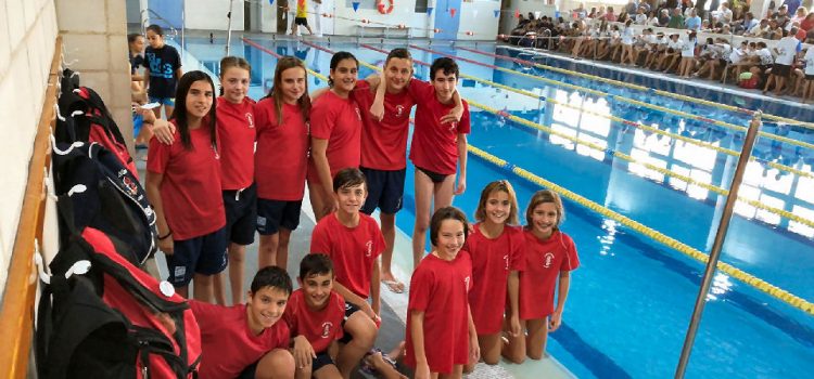Actualitat del Club Natació Vinaròs