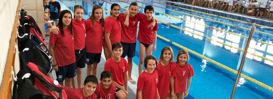 Actualitat del Club Natació Vinaròs
