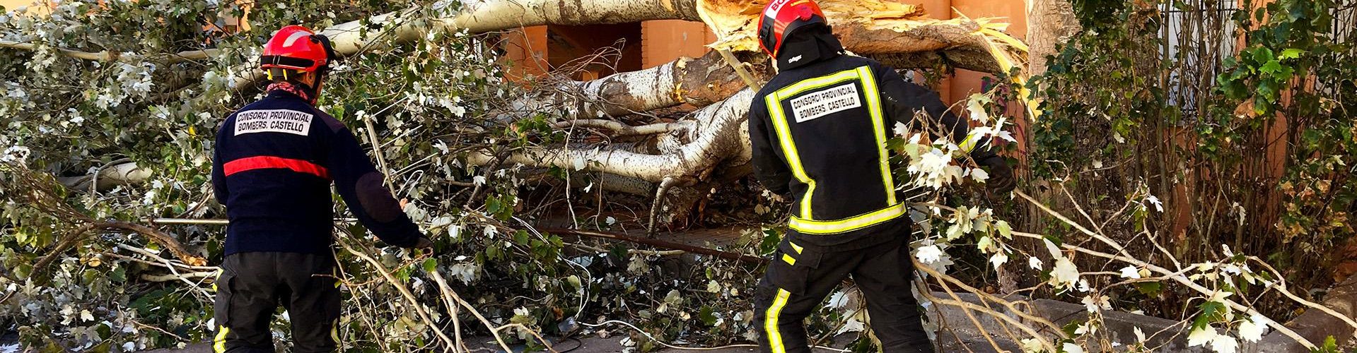 Incendio y caídas de árboles por el fuerte viento