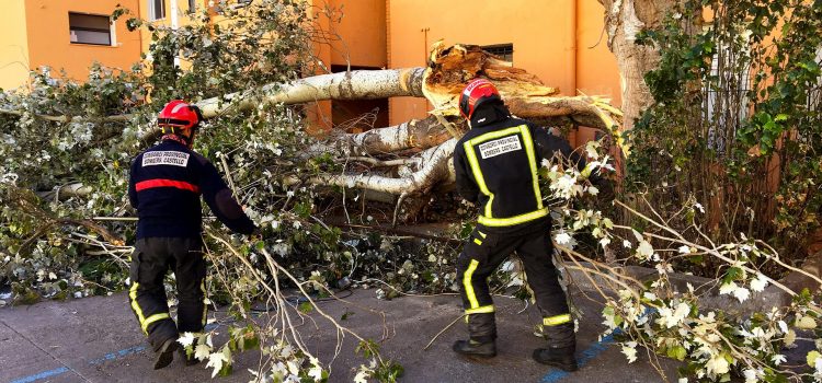 Incendio y caídas de árboles por el fuerte viento