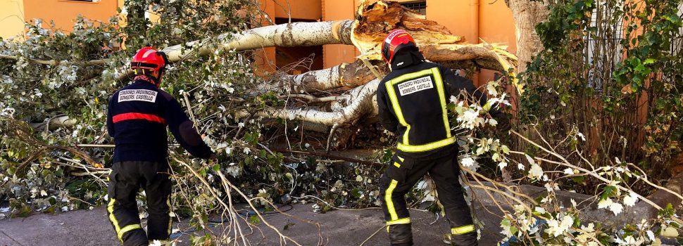 Incendio y caídas de árboles por el fuerte viento