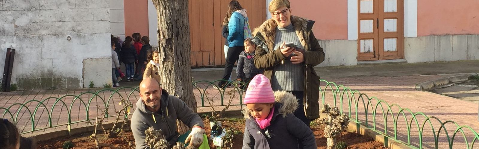 El catàleg d’arbres d’interès local d’Alcalà-Alcossebre, material per als col·legis