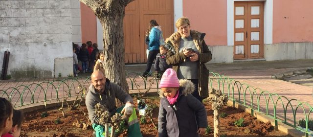 El catàleg d’arbres d’interès local d’Alcalà-Alcossebre, material per als col·legis