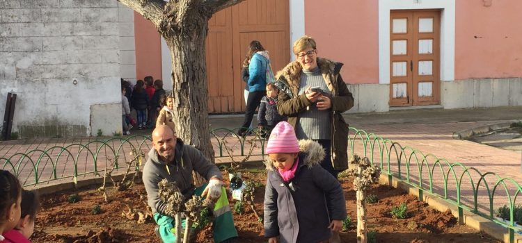 El catàleg d’arbres d’interès local d’Alcalà-Alcossebre, material per als col·legis