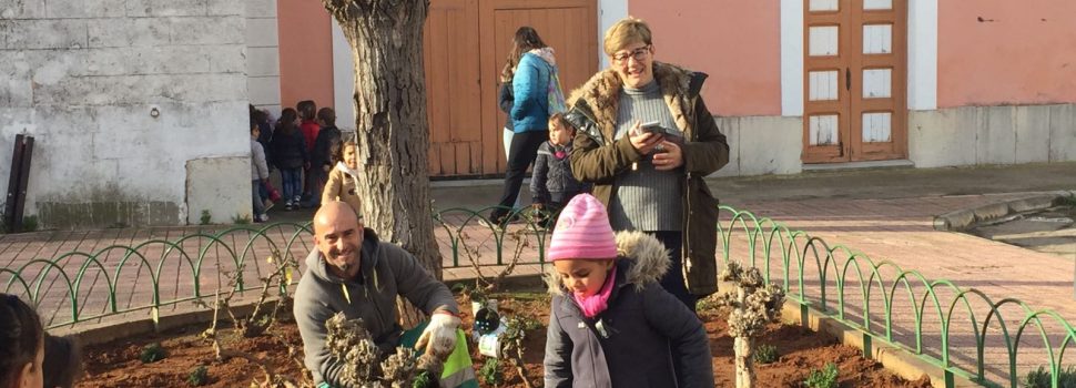 El catàleg d’arbres d’interès local d’Alcalà-Alcossebre, material per als col·legis