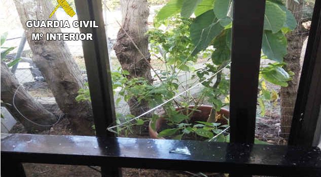 Detenido por el robo en un restaurante de Alcossebre
