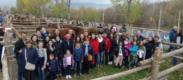 La Confraria de Sant Antoni de Benicarló escull el cavall de la Rifa