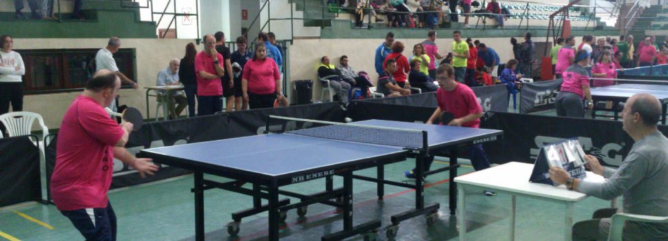 Cocemfe-Bamesad participà a Ontinyent  en un campionat de tennis taula