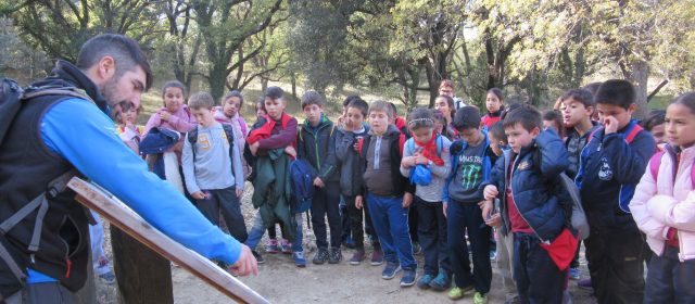600 alumnes de Benicarló visiten el Barranc dels Horts