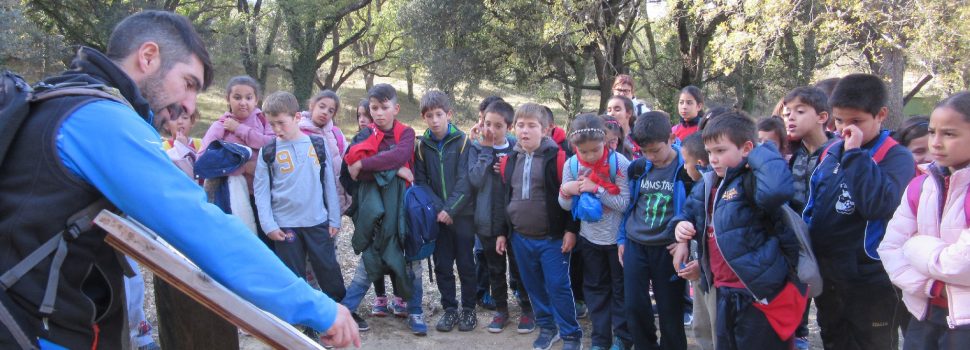 600 alumnes de Benicarló visiten el Barranc dels Horts 
