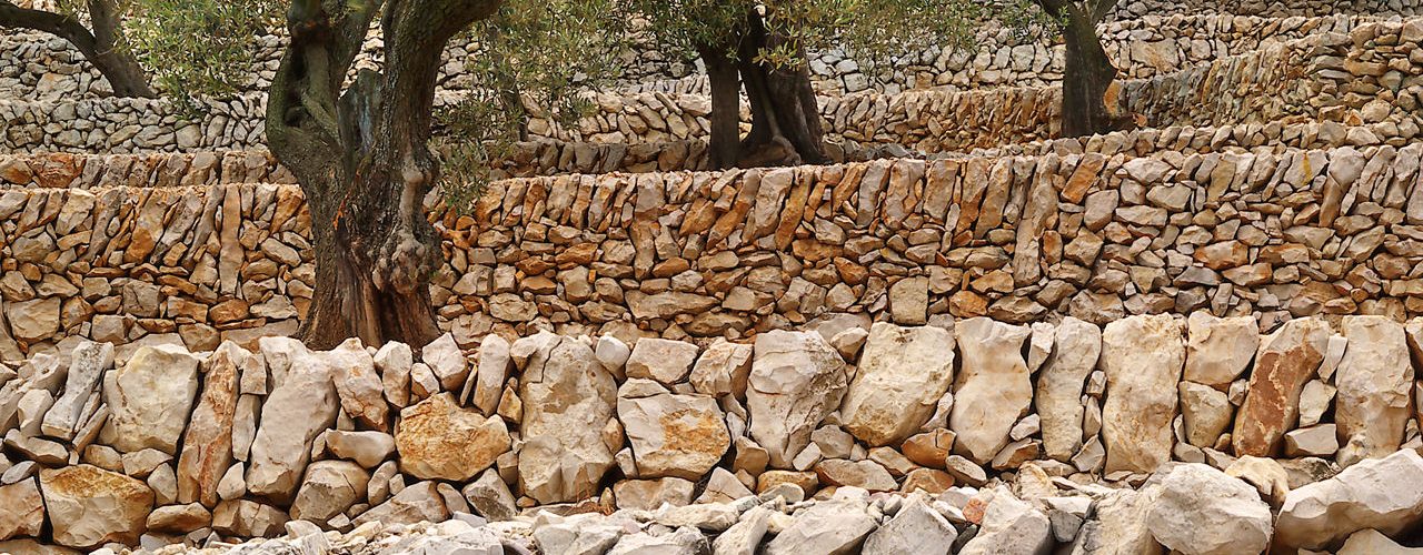 Itineraris organitzats pel Centre d’estudis Lo Lliscó i Terres de Cruïlla