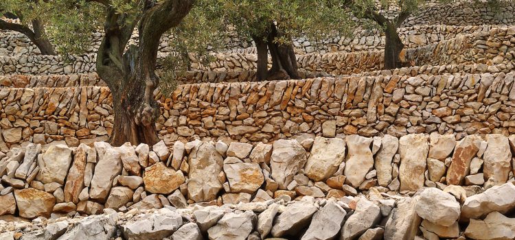 Itineraris organitzats pel Centre d’estudis Lo Lliscó i Terres de Cruïlla