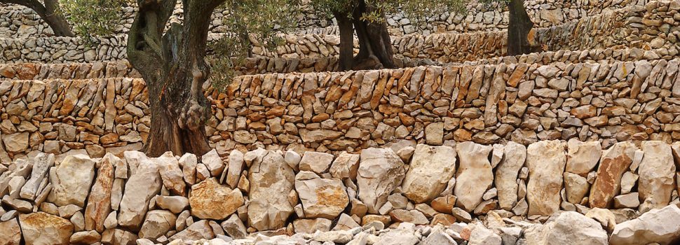 Itineraris organitzats pel Centre d’estudis Lo Lliscó i Terres de Cruïlla