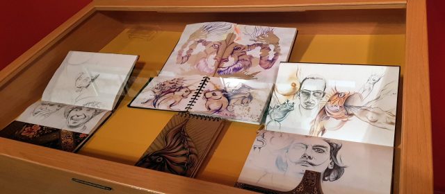 Una exposició “onírica”