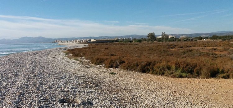 Ecologistas en Acción presenta alegaciones contra el PAI Doña Blanca Golf en Torreblanca