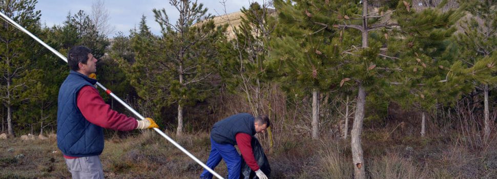 Morella incorpora 13 persones a les brigades forestals i mediambientals