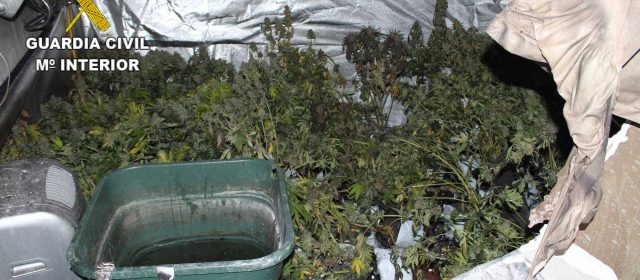 Dos detenidos y 9 kg. de cogollos de marihuana incautados tras el incendio de Vinaròs