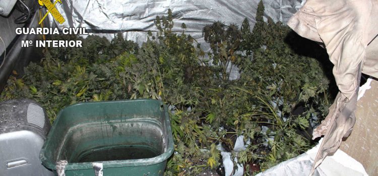Dos detenidos y 9 kg. de cogollos de marihuana incautados tras el incendio de Vinaròs