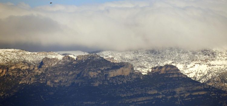 Un horitzó emblanquinat