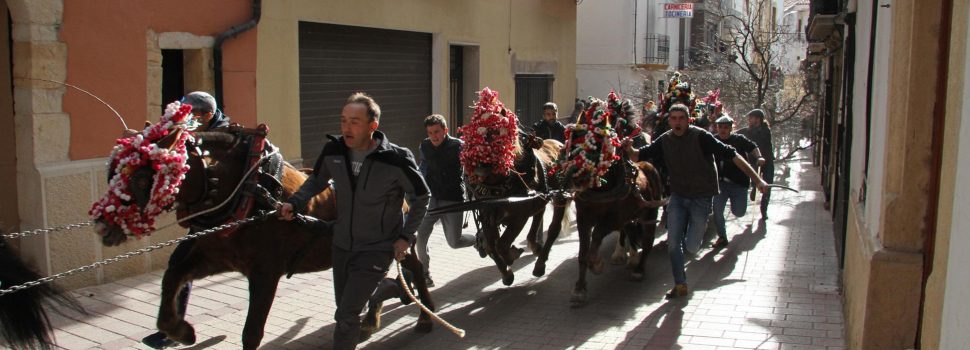 Albocàsser celebra ‘Les Rossegades’ de Sant Antoni