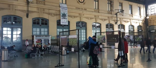 L’Estació del Nord de València acull una exposició de la Festa de la Carxofa