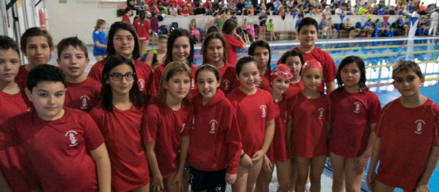 24 nadadors vinarossencs en la 4a jornada Lliga Autonòmica de Promeses