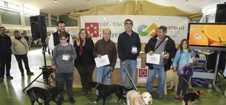 Èxit de la XV Mostra de la Trufa Negra del Maestrat Castelló Ruta de Sabor