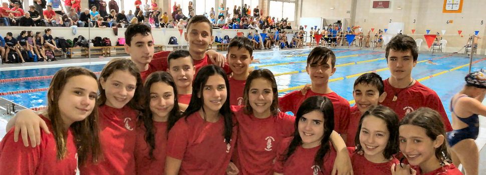 El Club Natació Vinaròs, en tres diferentes competicions