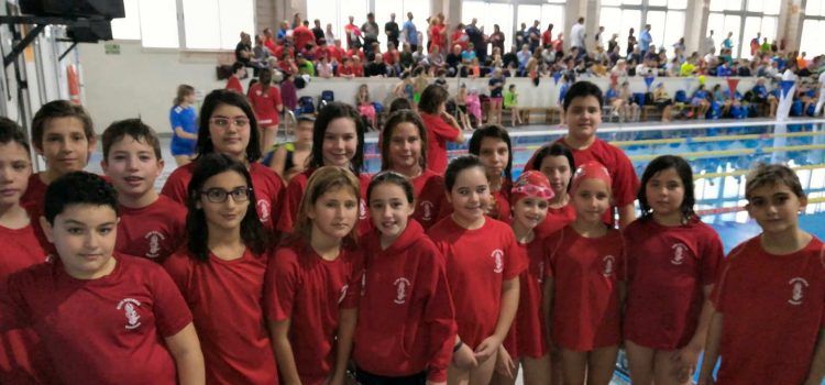 Natació: 5ª Jornada Lliga Autonòmica Promeses