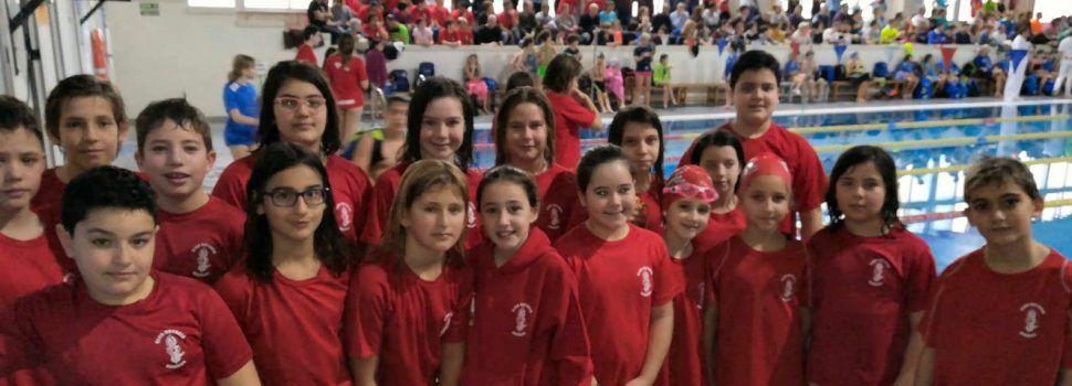 Natació: 5ª Jornada Lliga Autonòmica Promeses