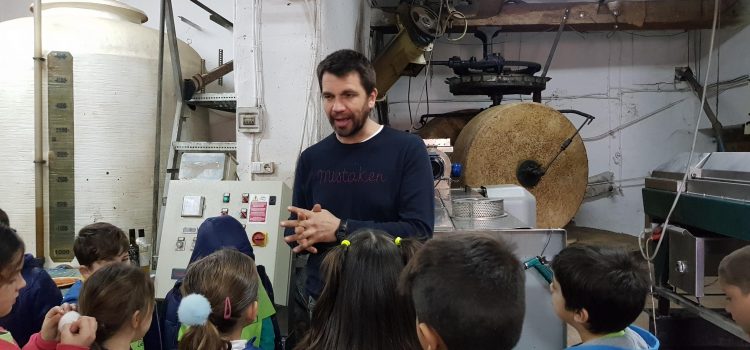 Aprenent com es fa l’oli al Molí de la Creu de la Galera