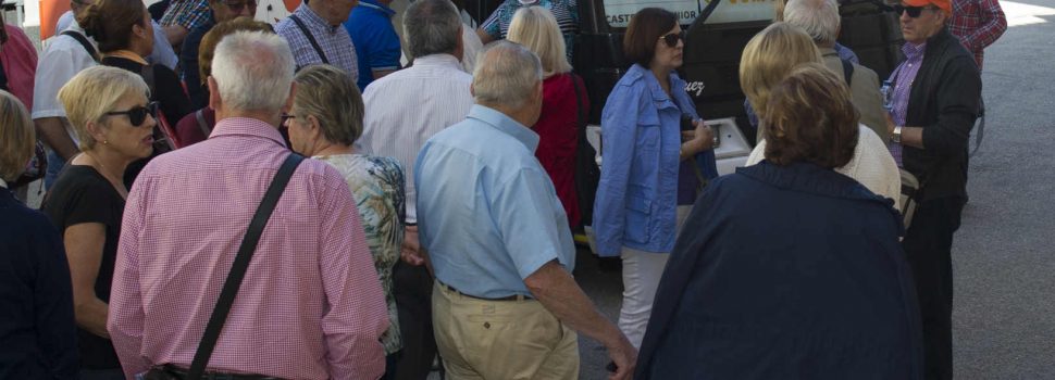 La Diputación retoma su exitoso programa Castellón Sénior con el que viajarán 7.451 mayores