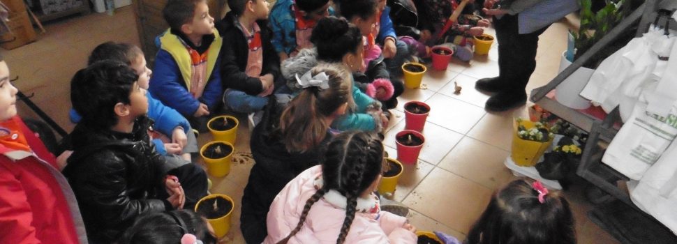 Els caragolets del Marqués aprenem a fer de jardiners