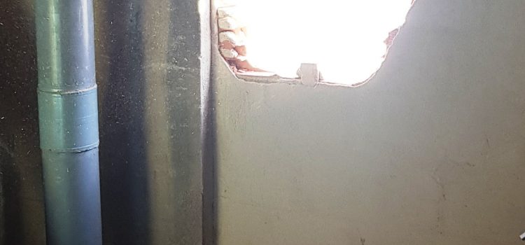 La Guardia Civil detiene “in fraganti” a tres menores por un robo con butrón en  Vinaròs