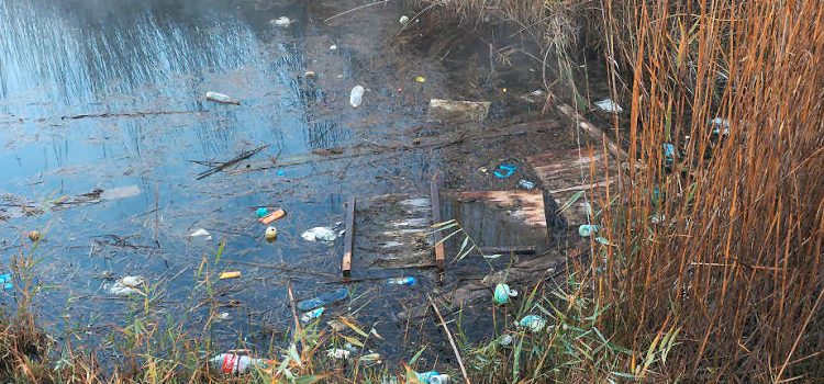 Ecologistas en Acción reitera que “nuestras zonas húmedas siguen estando mal gestionadas”