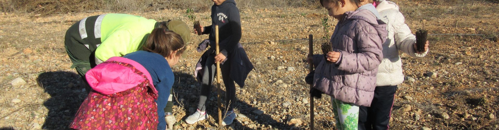 Benicarló celebra el Dia de l’Arbre