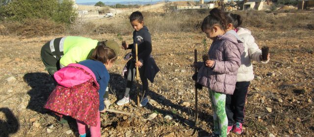 Benicarló celebra el Dia de l’Arbre