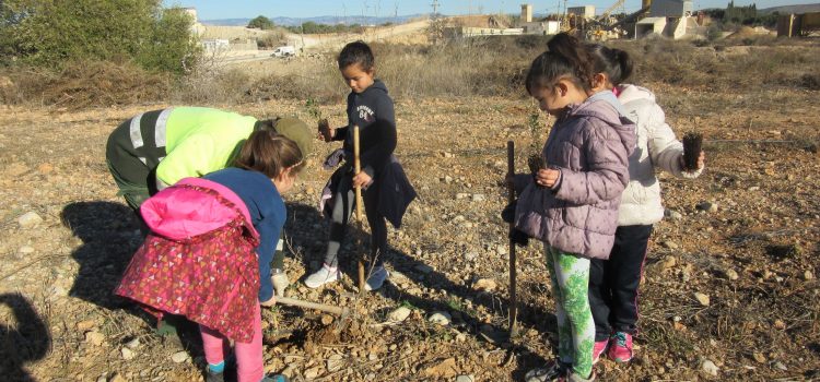 Benicarló celebra el Dia de l’Arbre