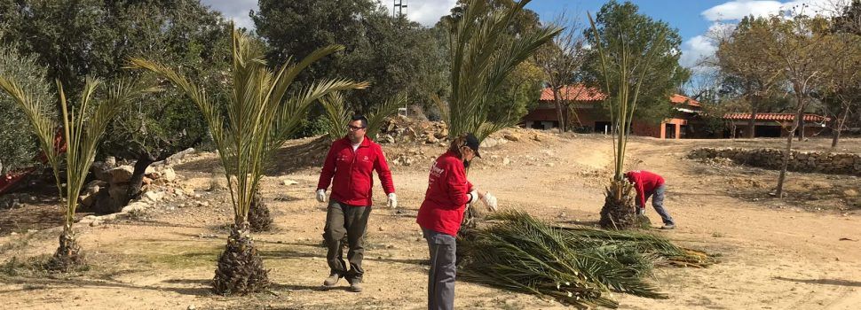 El Taller d’Ocupació de la Taula del Sénia realitza millores a Càlig