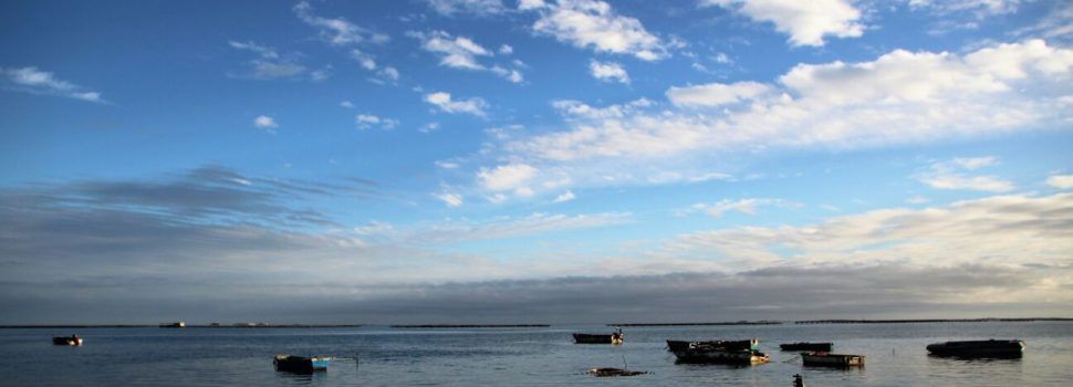 La Badia dels Alfacs, en imatges