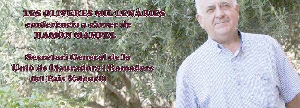 El patrimoni natural de les oliveres mil·lenàries