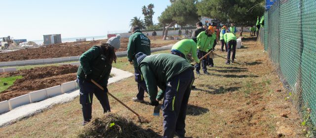 Els 3.000 metres quadrats del Jardí de la Mar comencen a prendre forma