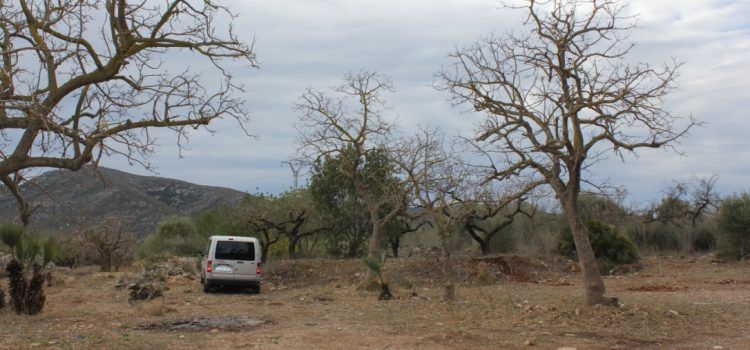 Sta. Magdalena adecua tot l’entorn de Sant Vicent