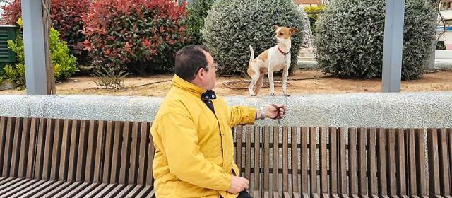 Historia de una mascosta, cuyo extravío pudo costar seis mil euros